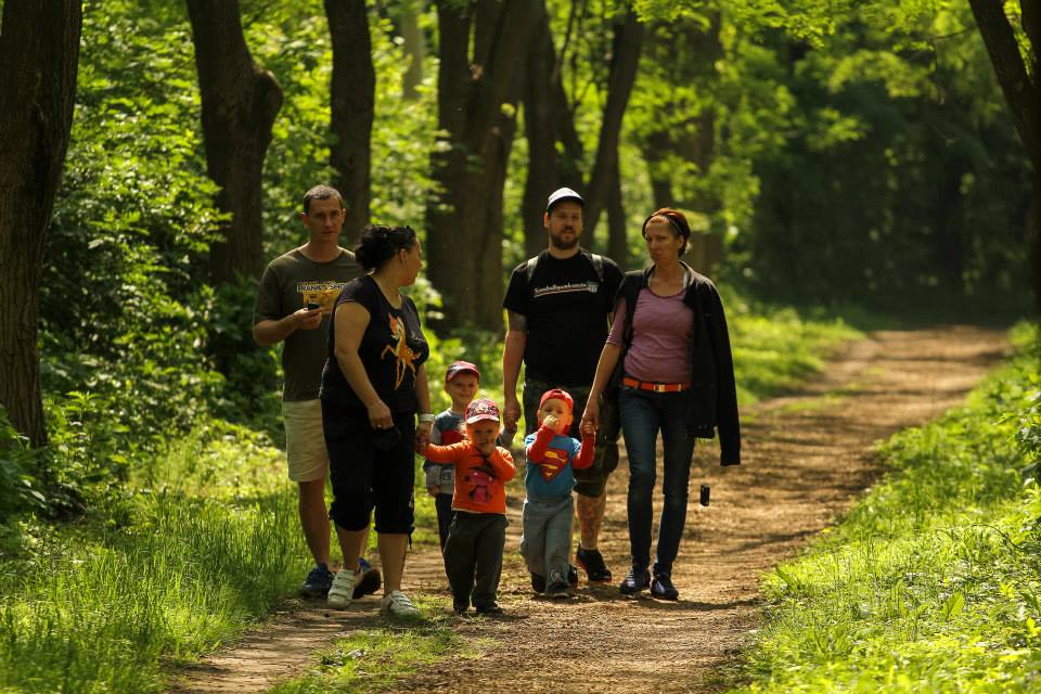 agárdi parkerdő térkép Agardi Parkerdo Terkep Terkep 2020 agárdi parkerdő térkép