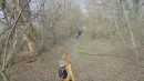 web042-20170315web.JPG